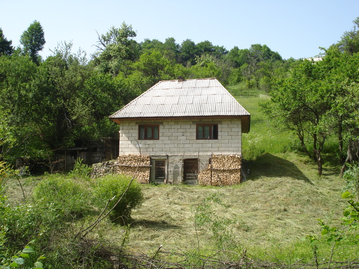 DSC09147 - Poze Valea Barni-2010