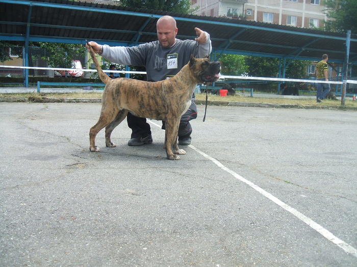 vega; b o b campioana de juniori rominia
