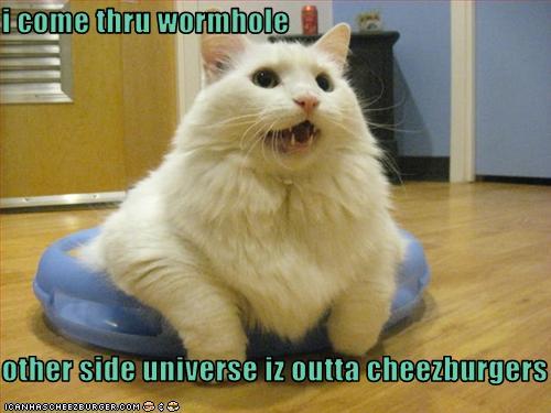 funny-pictures-cat-enters-universe-through-wormhole1 - pisicute