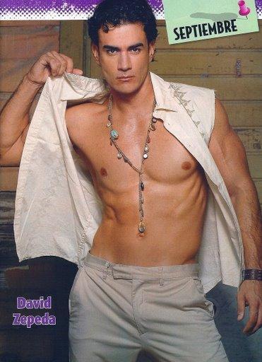 David Zepeda - David Zepeda