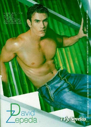 David - David Zepeda