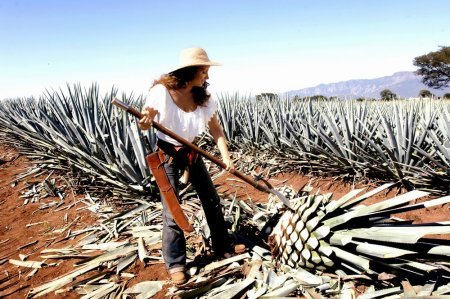 Destilando Amor - Destilando amor-Tequila cu suflet de femeie