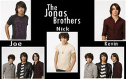 15926680 - jonas brothers