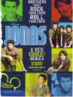 15988829 - jonas brothers