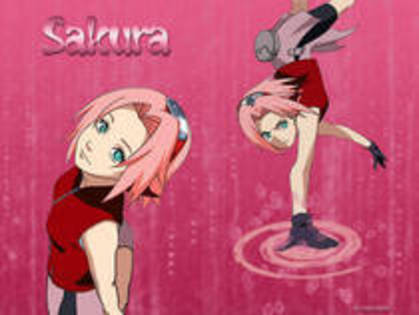 sakura (208) - naruto