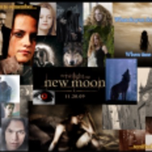 The_Twilight_Saga_New_Moon_1239554822_3_2009 - new moon