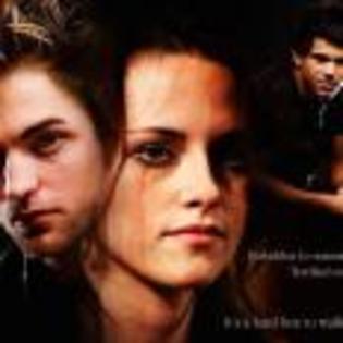 The_Twilight_Saga_New_Moon_1240993532_4_2009