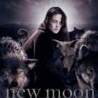 The_Twilight_Saga_New_Moon_1241027787_4_2009