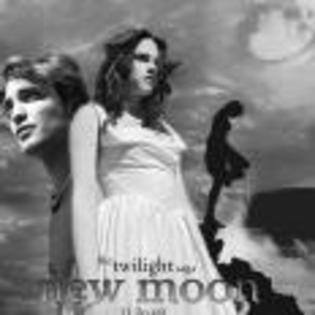 The_Twilight_Saga_New_Moon_1241027823_0_2009 - new moon