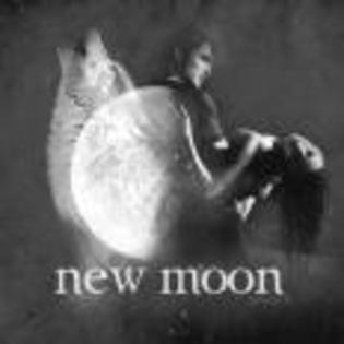 The_Twilight_Saga_New_Moon_1243674717_2009