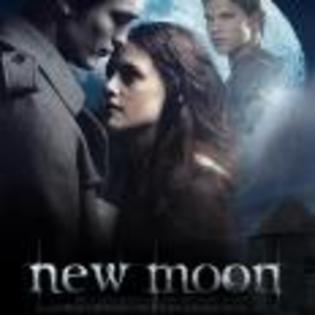 New_Moon_1233930154_2_2009