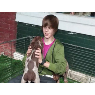 15988070_VQMAPXAXY[2]