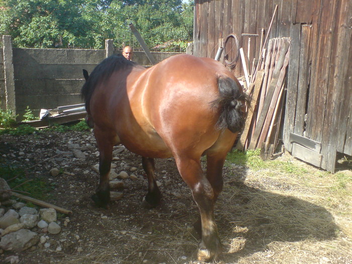 DSC05461; radu,2 ani si 11 luni
