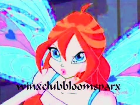 Bloom Believix