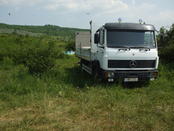 DSCF2597