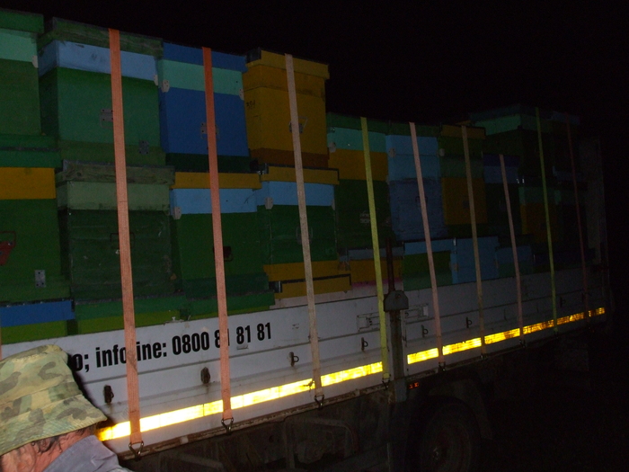 020 - stupina  incepand cu 2008
