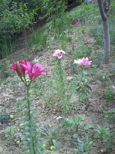 PICT0019