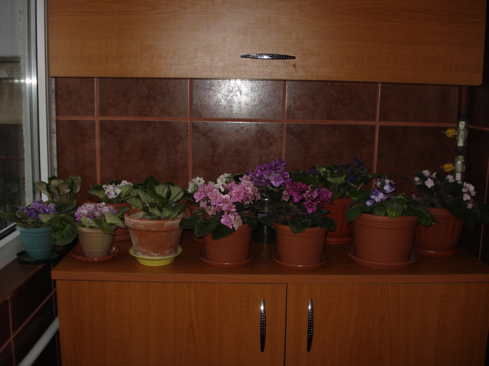 20.06.2010