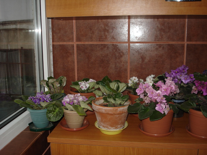 20.06.2010
