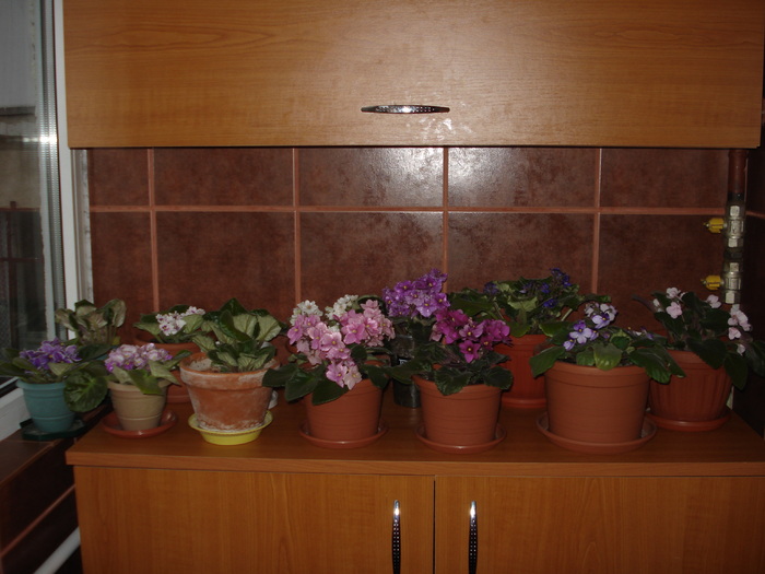 20.06.2010