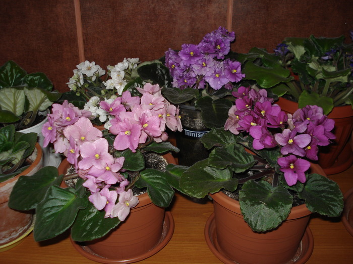 20.06.2010