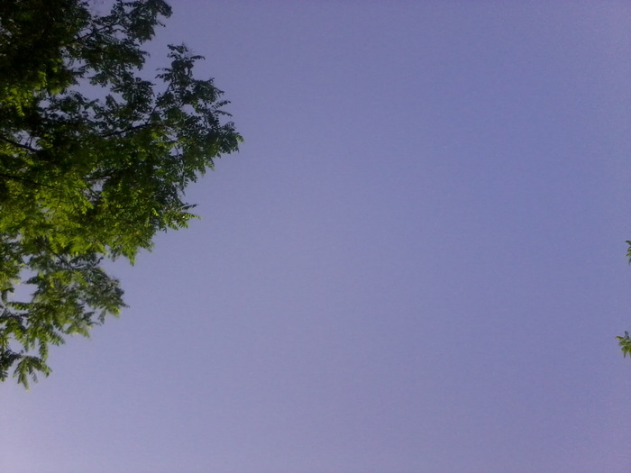 Fotografie2366 - NATURA