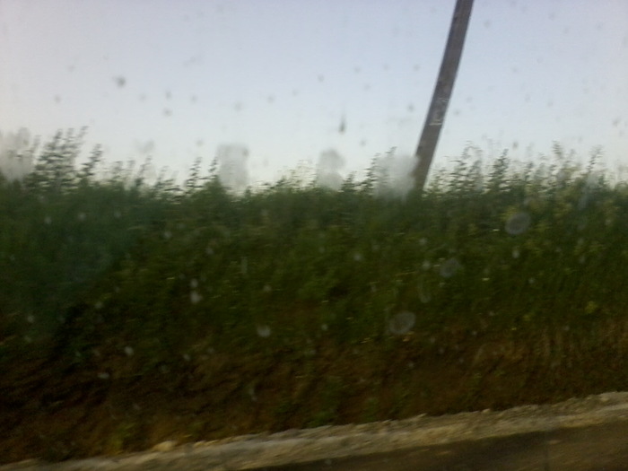 Fotografie2369 - NATURA