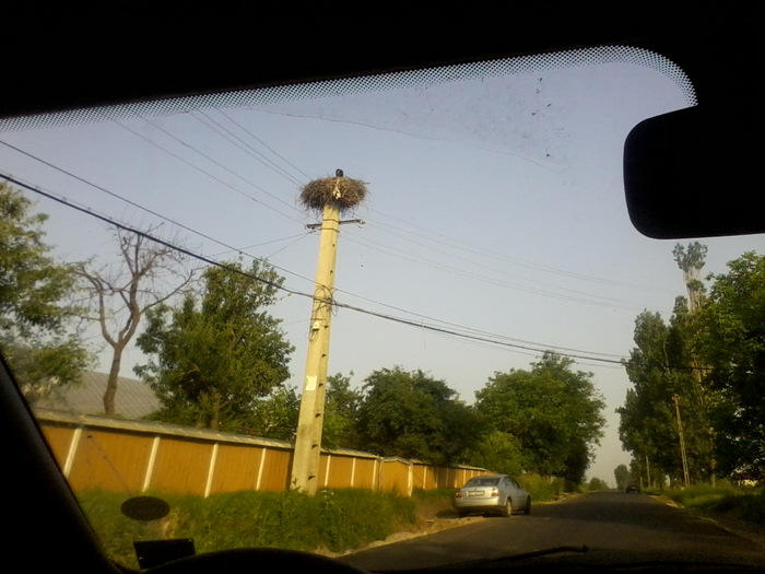 Fotografie2371 - NATURA