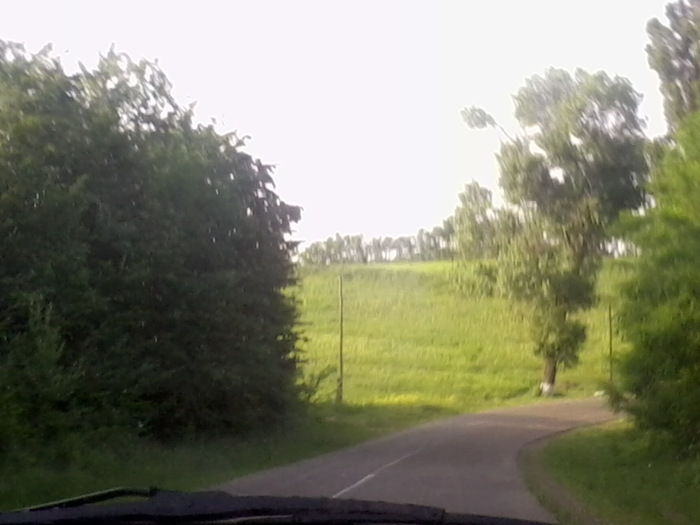 Fotografie2388 - NATURA