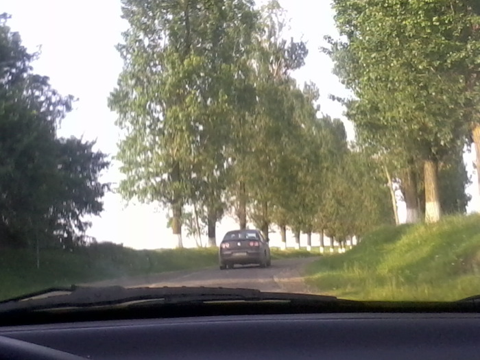 Fotografie2395 - NATURA