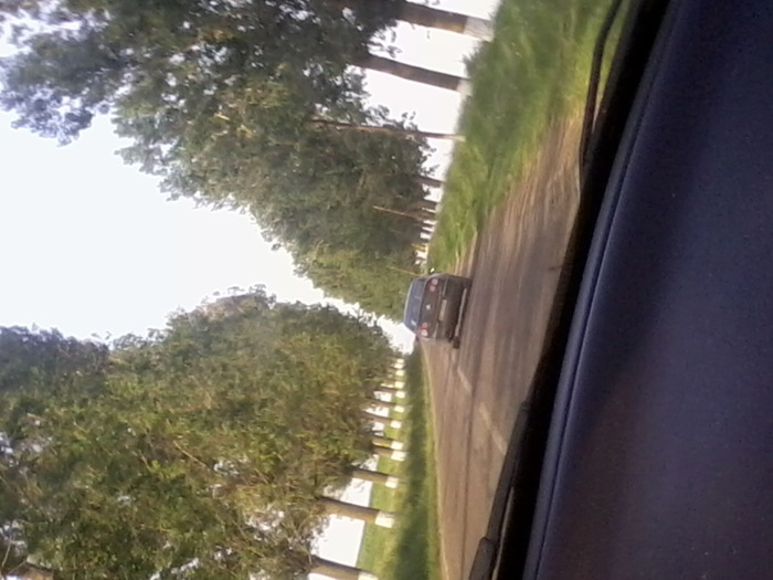 Fotografie2396 - NATURA