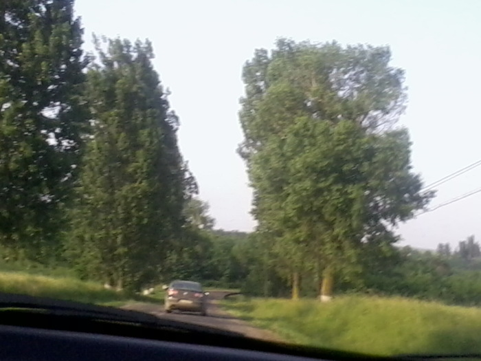 Fotografie2398 - NATURA