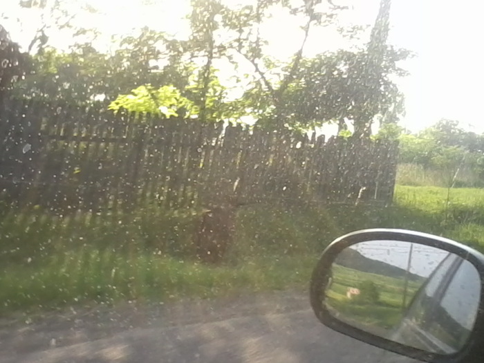 Fotografie2400 - NATURA