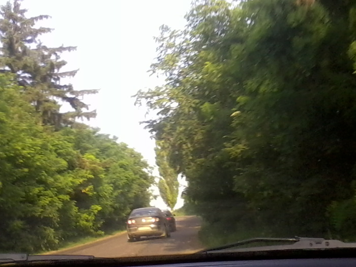 Fotografie2402 - NATURA