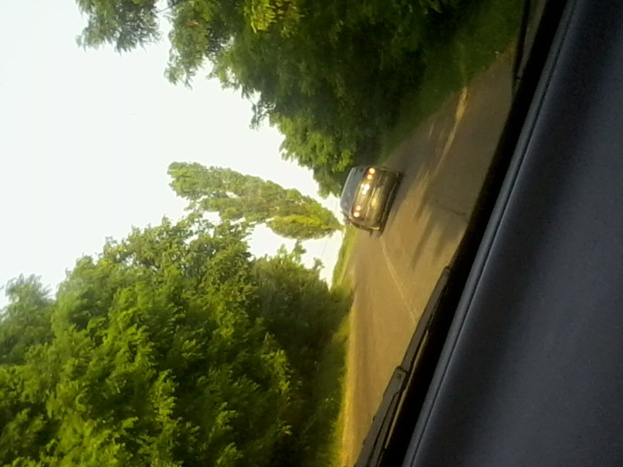 Fotografie2403 - NATURA