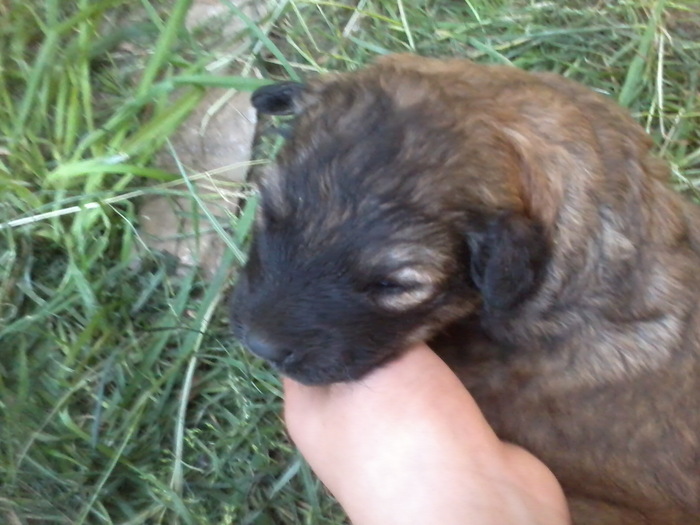 Fotografie2409 - NATURA