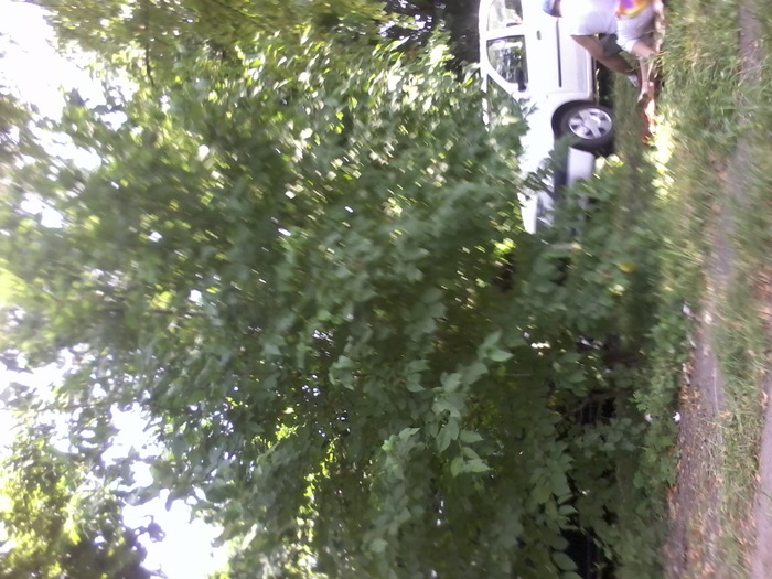 Fotografie2411 - NATURA