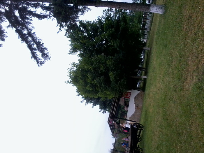 Fotografie2470 - NATURA