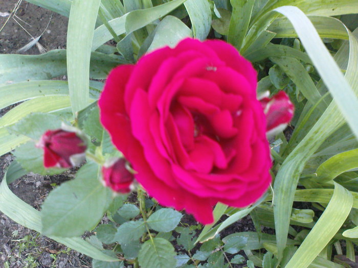 DSC04029