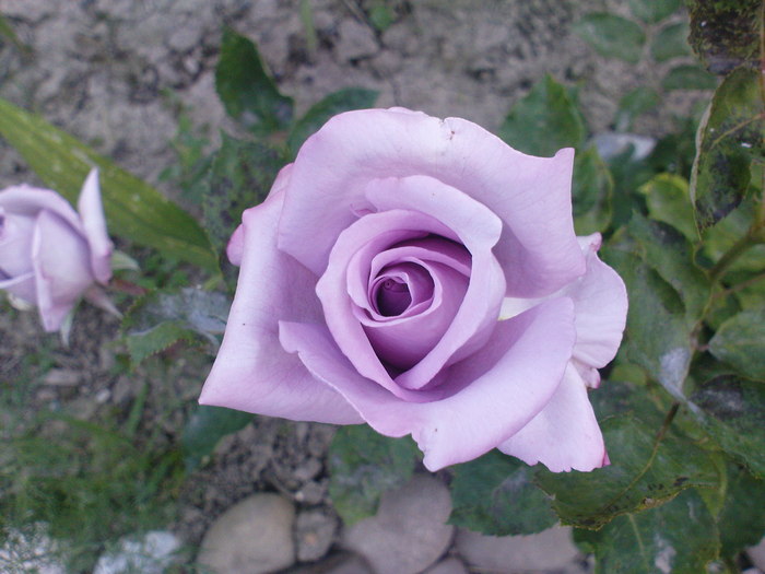 DSC04087