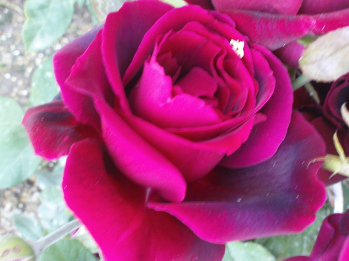 DSC04182