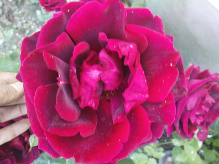 DSC04188