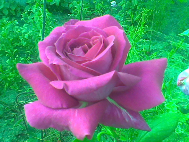 Imag013