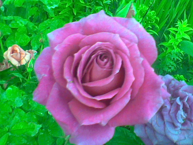 Imag029