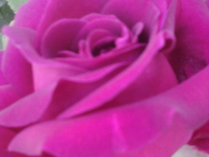 Fotografii-0012