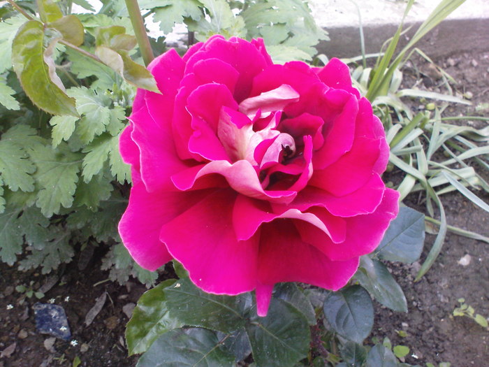 DSC03200