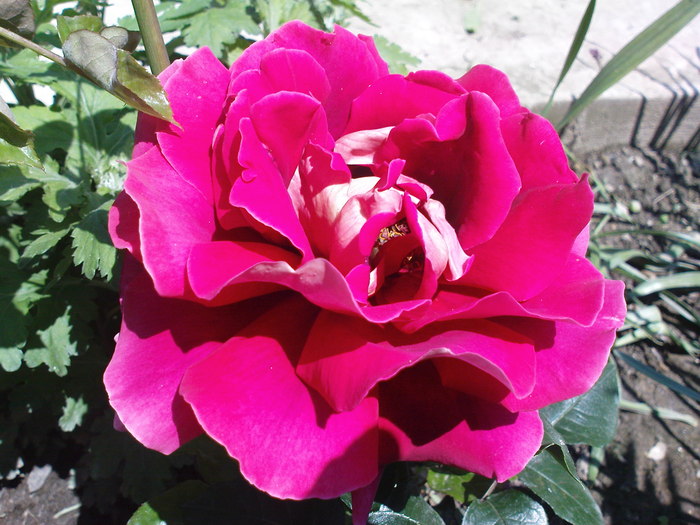 DSC03088