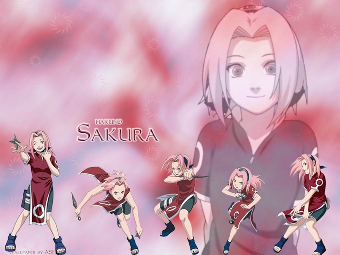 6 - Sakura