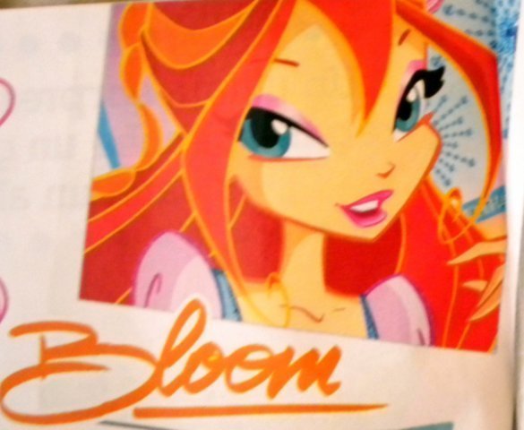 bloom  believix