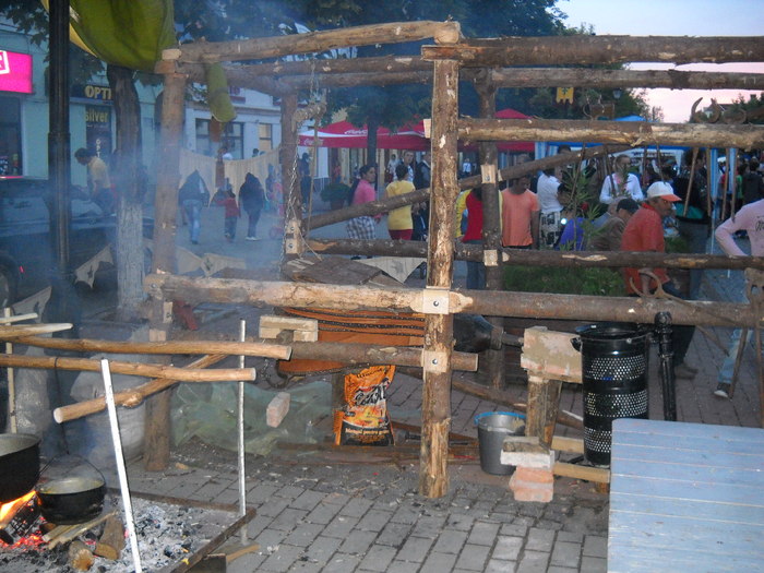 la stana - zilele medievale ale cetatii la Bistrita 2010-2011